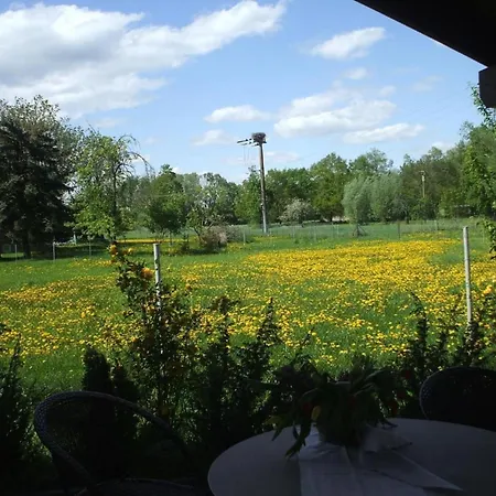 Oderhaeuschen By Interhome بيت للعطل