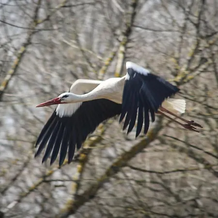 Holiday home Holiday Home By Interhome