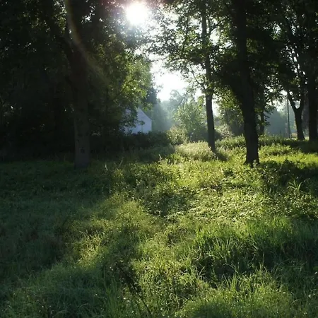 Oderhaeuschen By Interhome * Letschin