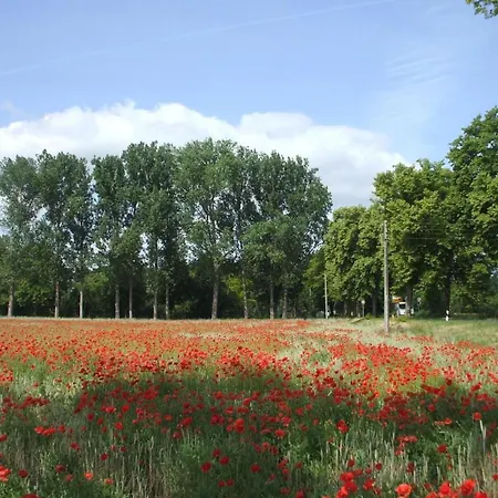 Oderhaeuschen By Interhome Holiday home