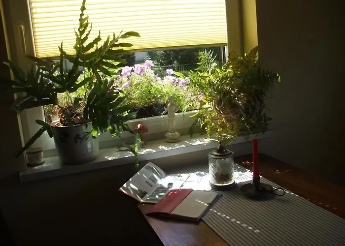 Oderhaeuschen By Interhome بيت للعطل *