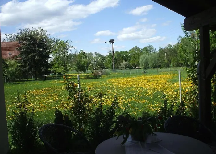 Oderhaeuschen By Interhome Holiday home