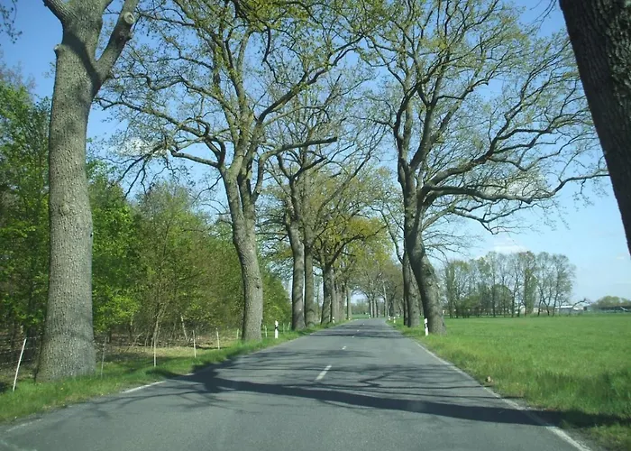 Oderhaeuschen By Interhome Letschin