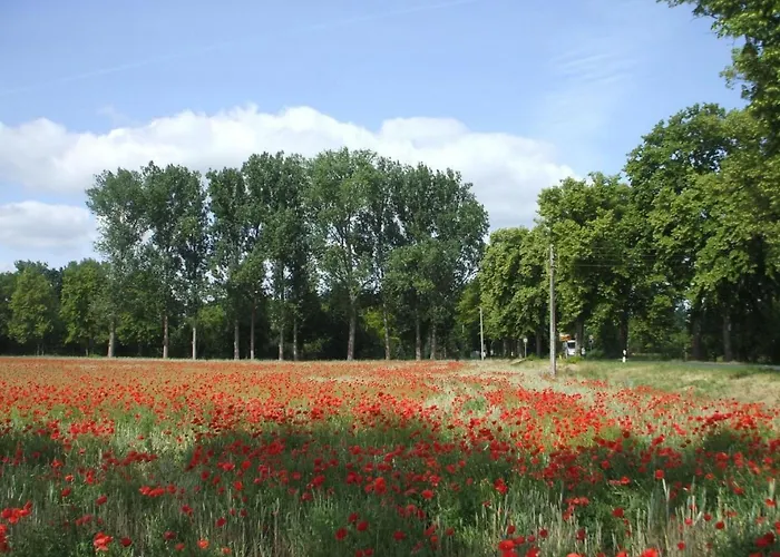 Oderhaeuschen By Interhome Holiday home