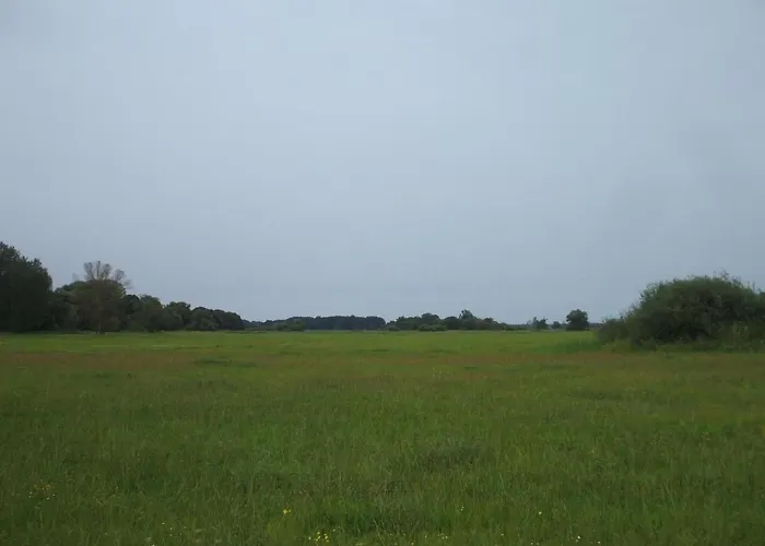 Oderhaeuschen By Interhome Holiday home Letschin