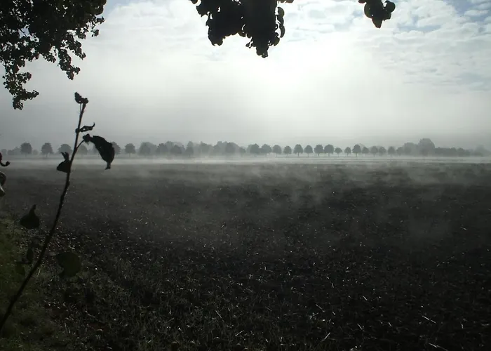 Holiday home Oderhaeuschen By Interhome