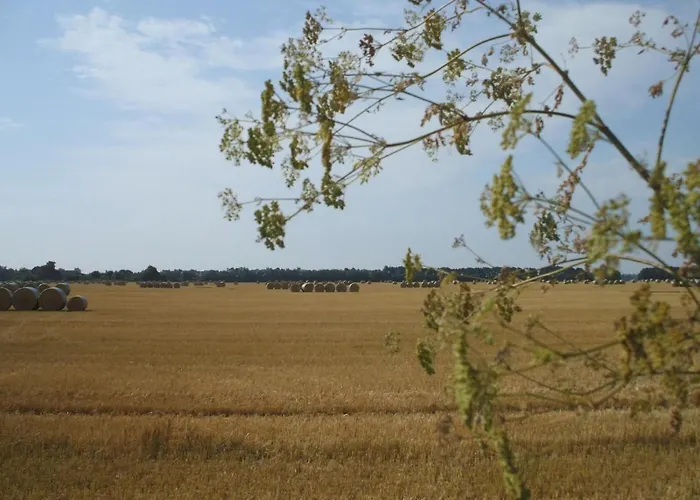 Holiday Home By Interhome Holiday home Letschin